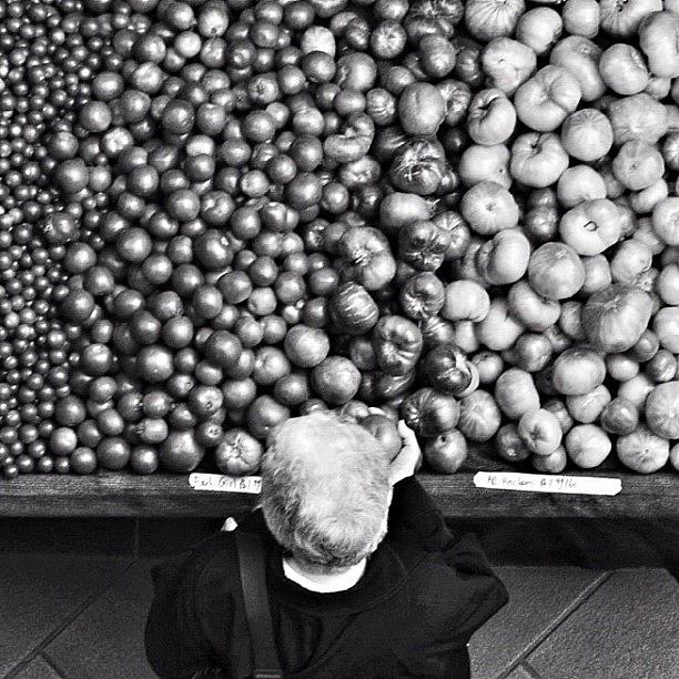 Blackandwhite Photograph - Looking For Mr. Ripe by David Root