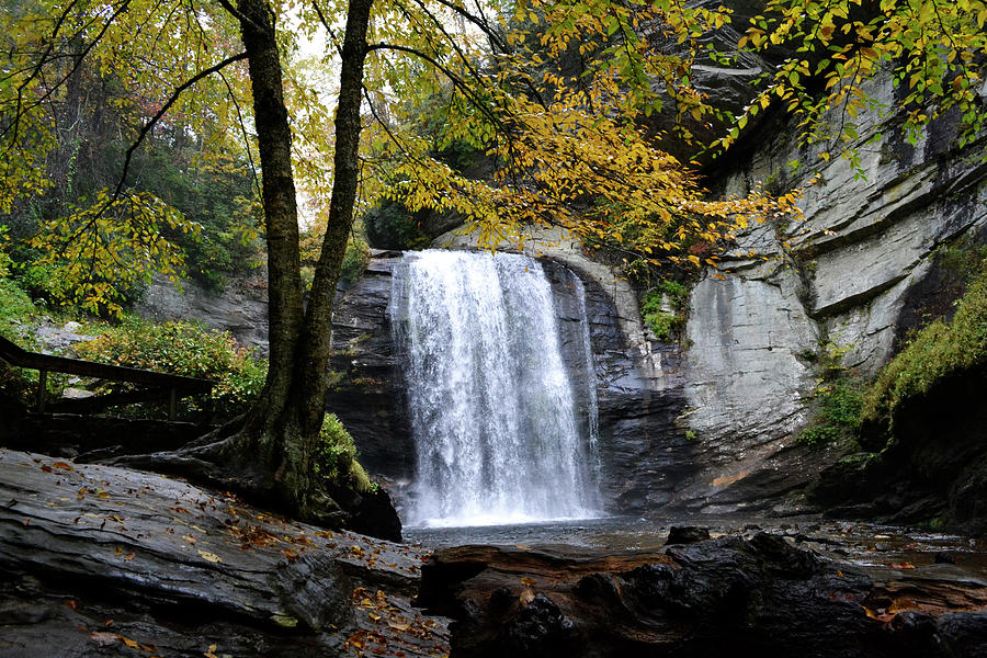 Looking Glass Falls Photograph by Bill Hosford