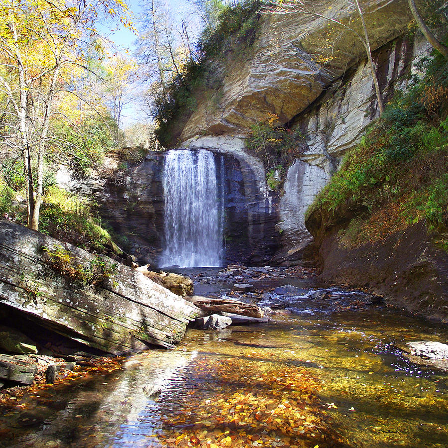 Looking Glass Falls in the Fall Photograph by Duane McCullough