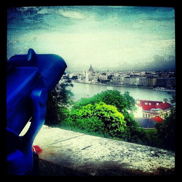 Summer Photograph - Looking Over The Danube At The Buda by Henry Wisdom