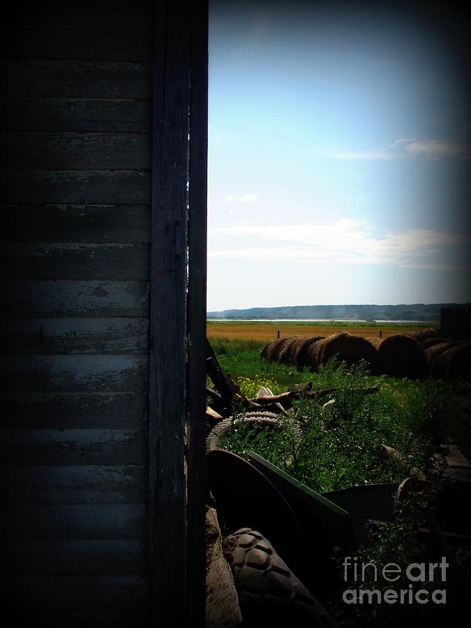 Farm Photograph - Looking Past the old Home by Ashley Vipond