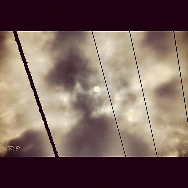 Nature Photograph - Looking Thru The Power Lines... To See by Julianna Rivera-Perruccio