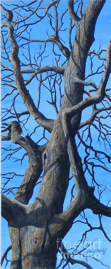 Looking Up   SOLD Painting by Sandy Brindle