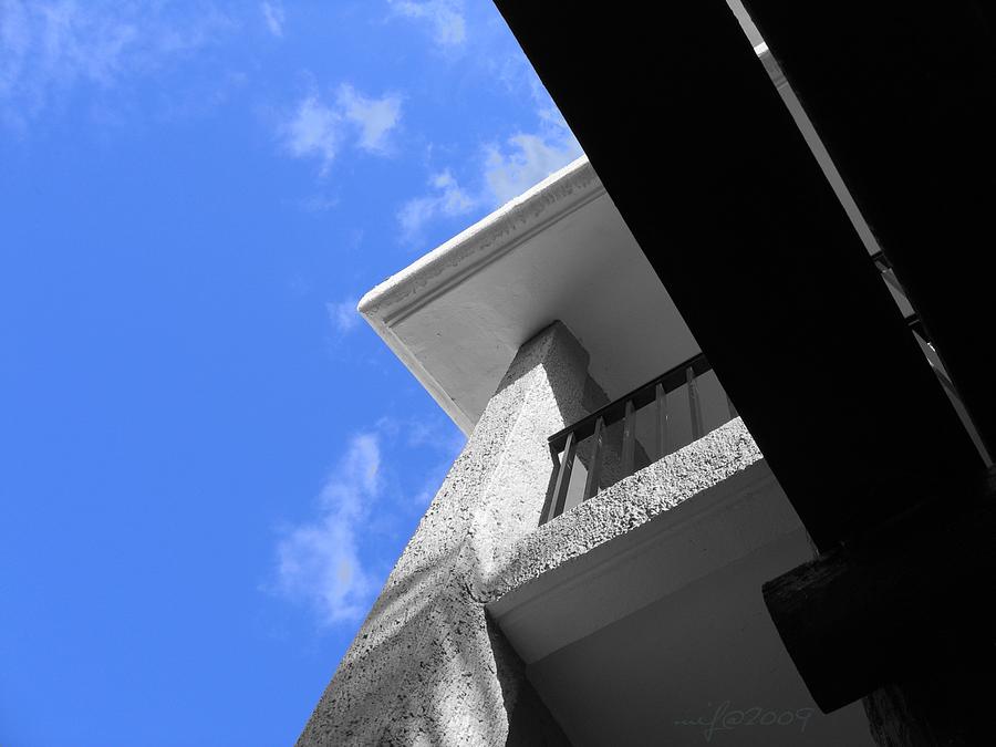 Looking Up Photograph