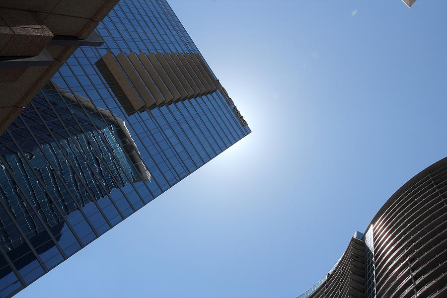 Looking Up Photograph by Richard Lestage - Fine Art America