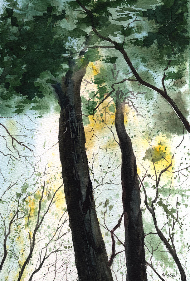Tree Painting - Looking Up by Sean Seal