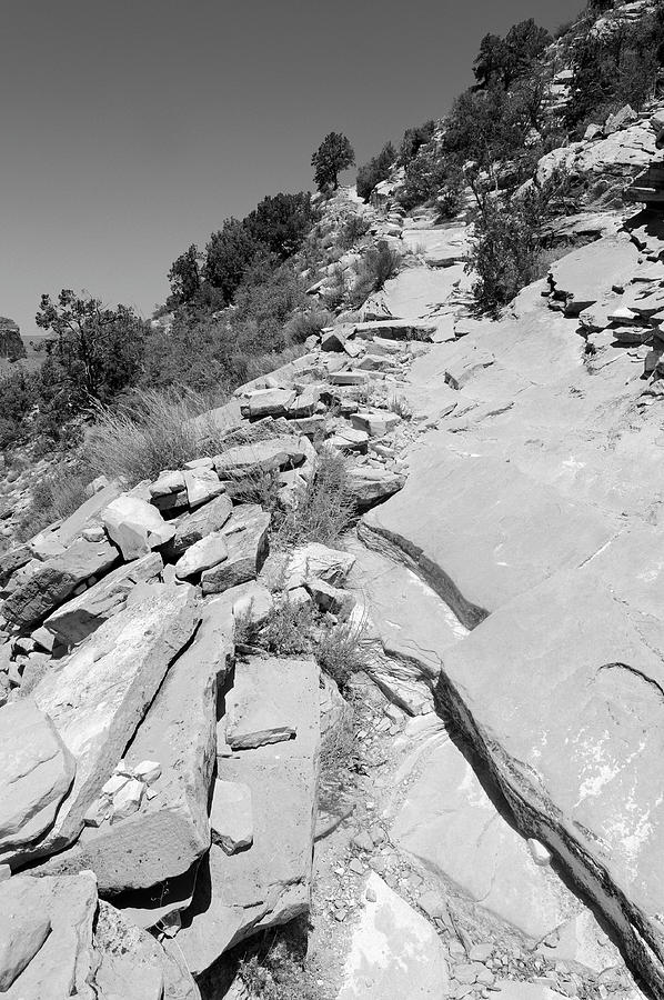 Grand Canyon National Park Photograph - Looking Up the Hermits Rest Trail BW by Julie Niemela