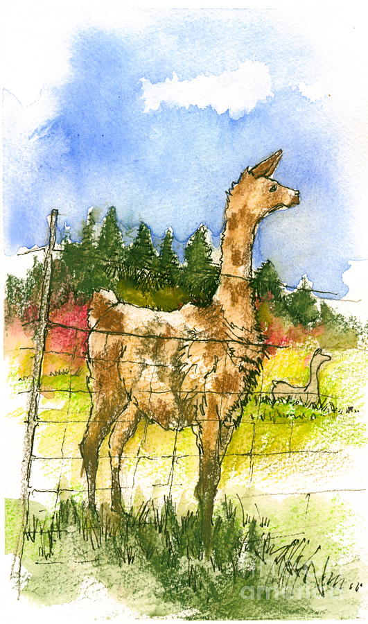 Llama Painting - Lookout Llama by Judi Nyerges