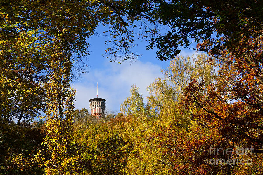Tree Photograph - Lookout Tower by Lutz Baar