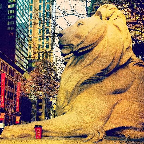 London Photograph - Looks Like The Library Lion Likes by Trey Rucker