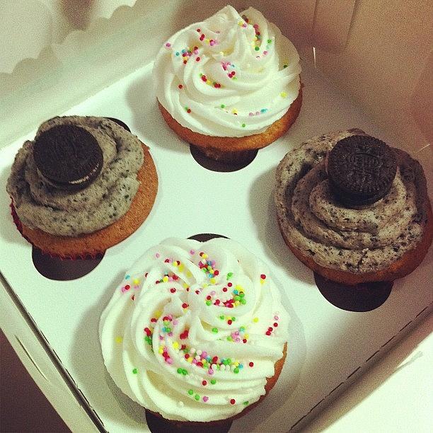 Cupcakes Photograph - Looks So Damn Good Right!!! #cupcakes by Dorcas Pang