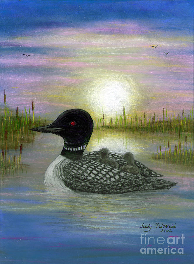 Loon Painting - Loon Babies on Mothers Back Judy Filarecki by Judy Filarecki