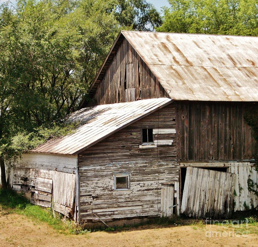 Loosing the Farms Photograph by Marsha Heiken - Fine Art America