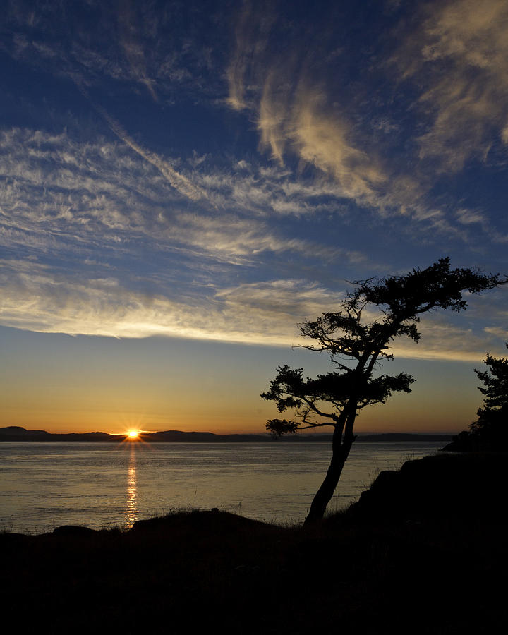 Lopez Island Sunset Photograph by Tony Locke