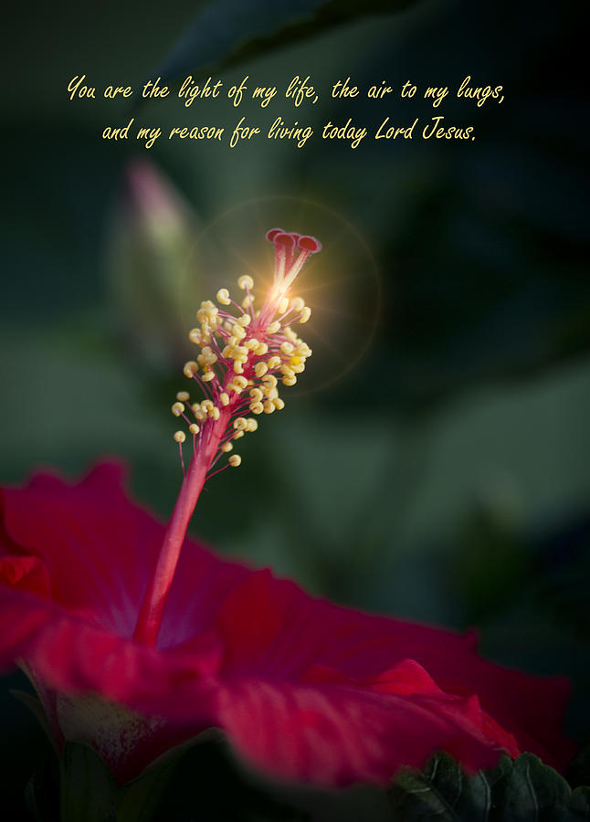 Lord Jesus My Love Photograph by Kathy Clark