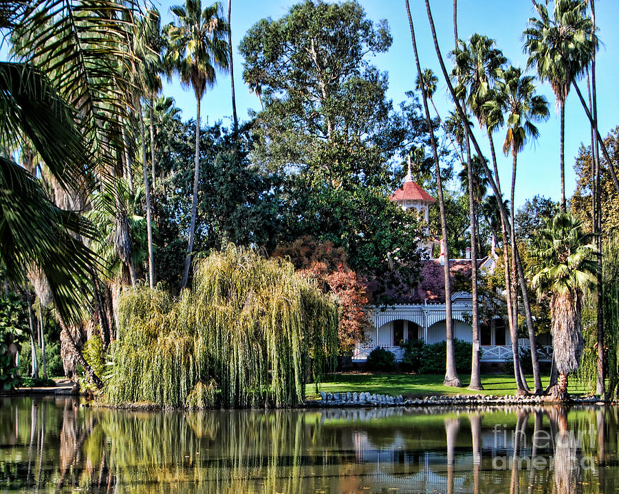 Los Angeles Arboretum Photograph by Norma Warden