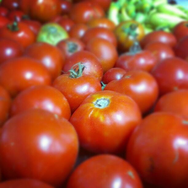 Tomato Photograph - Los Tomates #tomato, #good, #instagood by Jedi Fuser