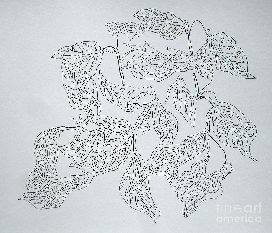 Lost In Leaves On One Line Drawing by Vicki  Housel