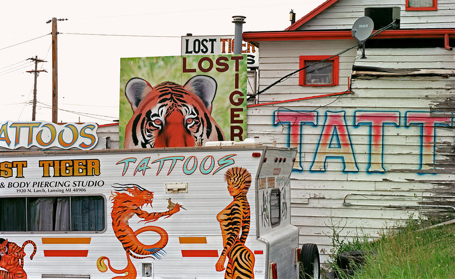 Lost Tiger Tattoo Photograph by Kris Rasmusson