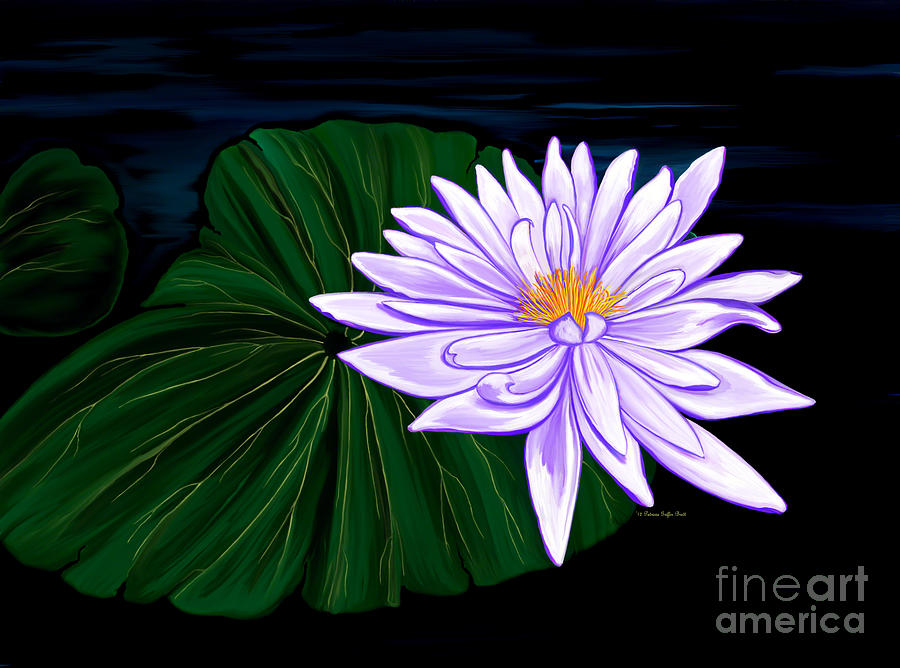 Lotus Blossom at Night II Painting by Patricia Griffin Brett