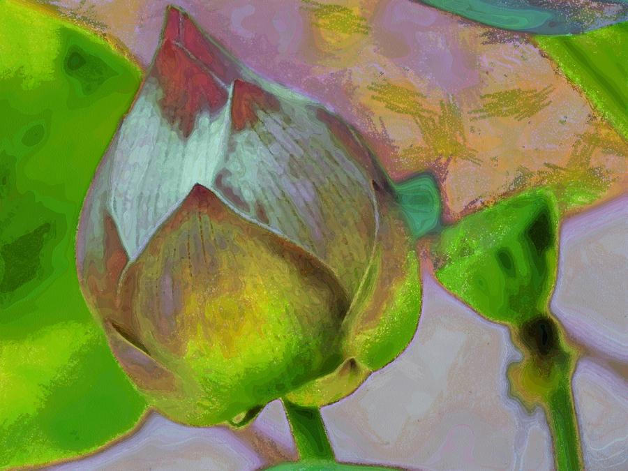Lotus dreaming 1 Digital Art by Fran Woods