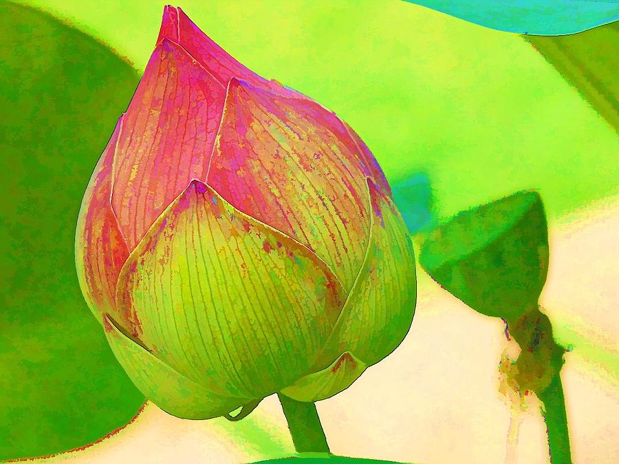 Lotus dreaming 4 Digital Art by Fran Woods