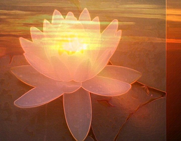Lotus Light Digital Art by Richard Laeton