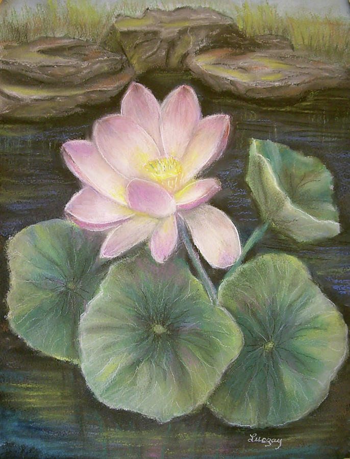 Lotus Painting by Katalin Luczay
