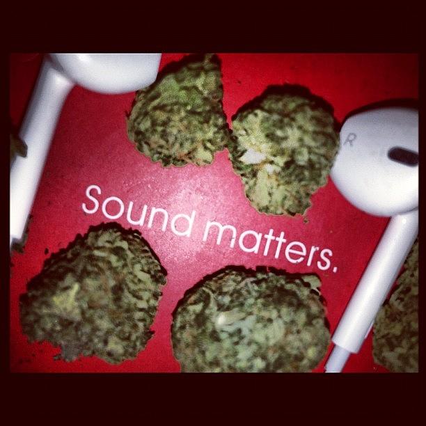 Loud Photograph - #loud Only In My Buds!!! #soundmatters by Ash Marie