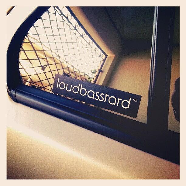 Loudbasstard! Photograph by Edgardo Cabrera