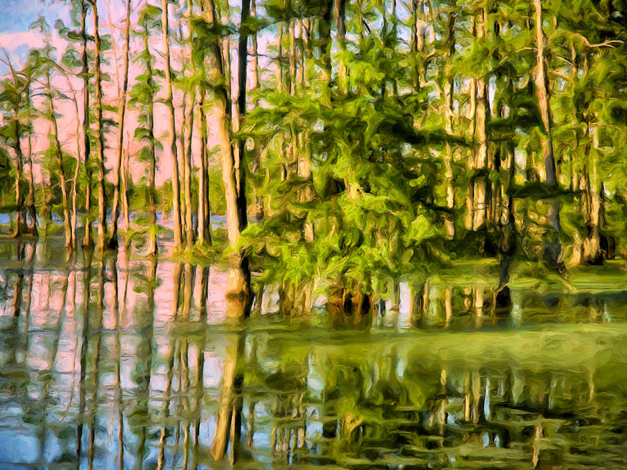 Louisiana Bayou Photos for Sale - Fine Art America