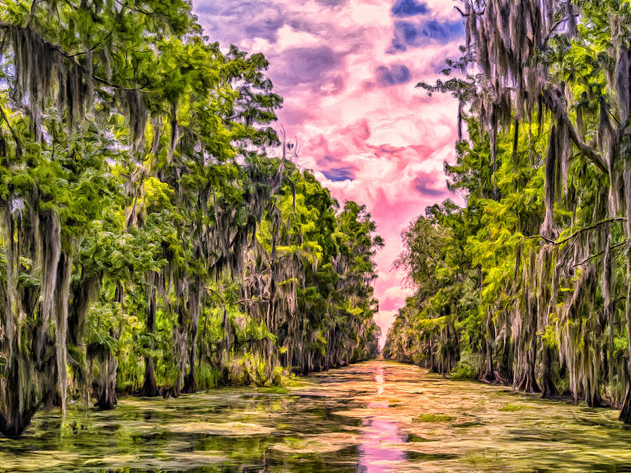 Louisiana Bayou Photos for Sale - Fine Art America