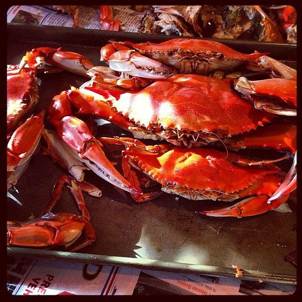Louisiana Boiled Crabs Photograph by Sonjia  Kiffe