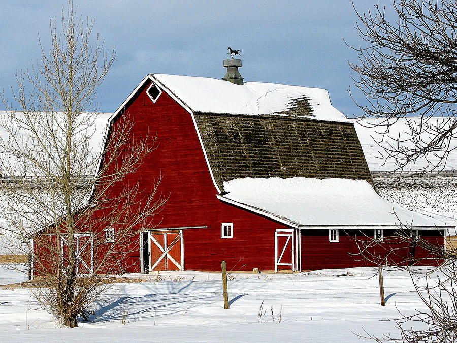 Love A Red Barn Photograph by Christine Bakke - Fine Art America