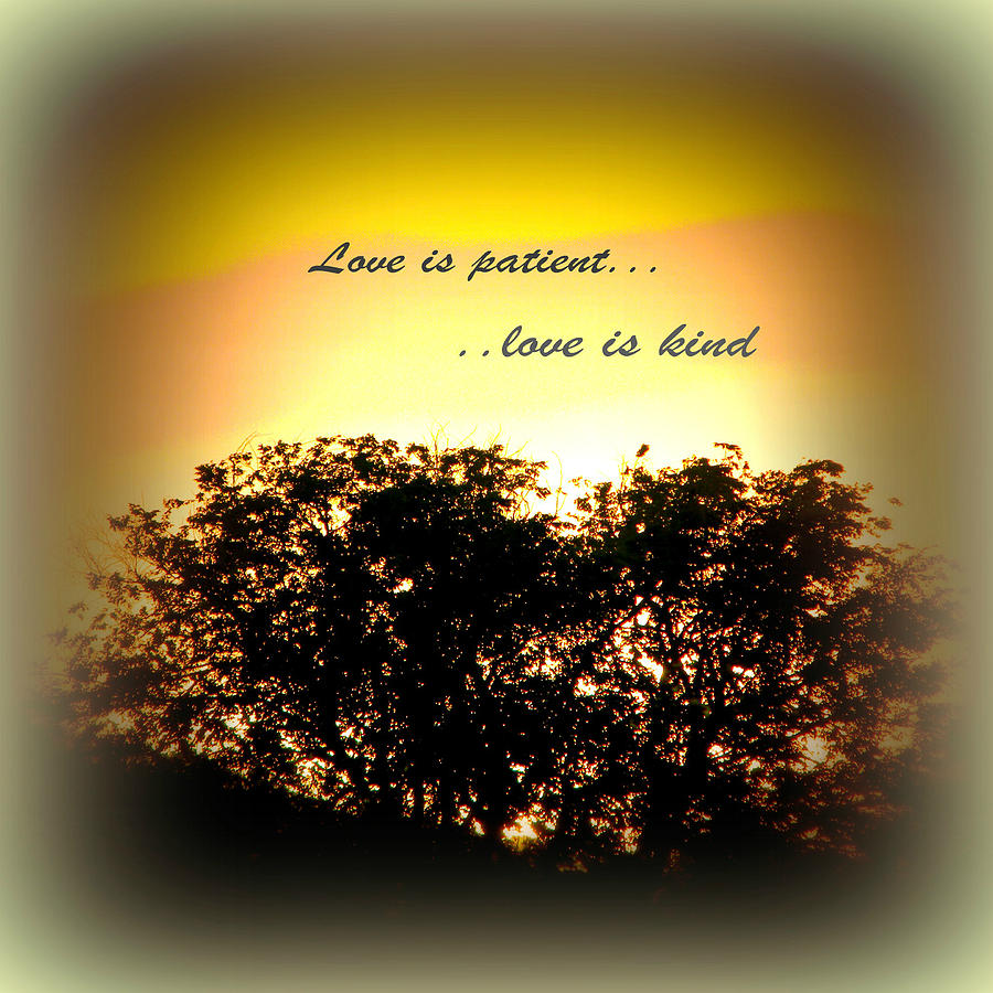 Love is patient   Photograph by Michelle Frizzell-Thompson