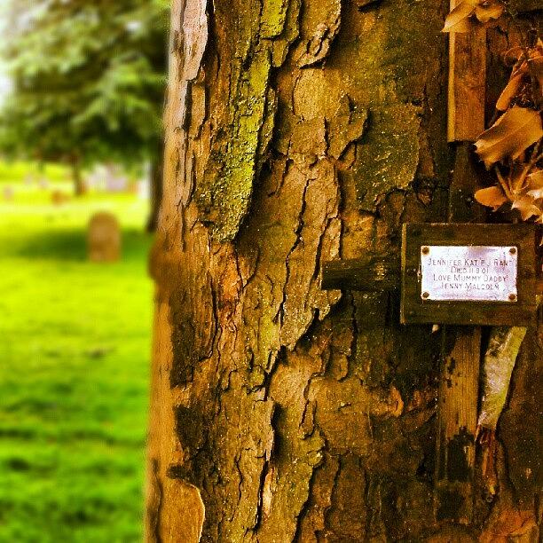 Tree Photograph - Love Mummy And Daddy #tree #grave by Invisible Man