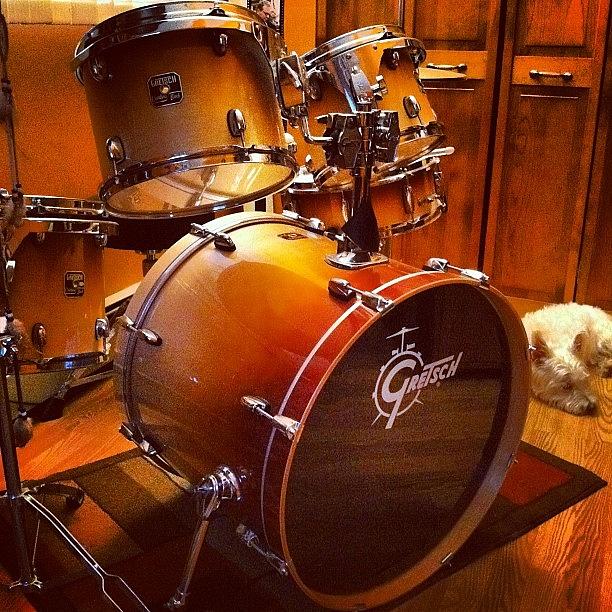 Drum Photograph - Love My Drums & My Dog #dublin #gretsch by Lisa Thomas