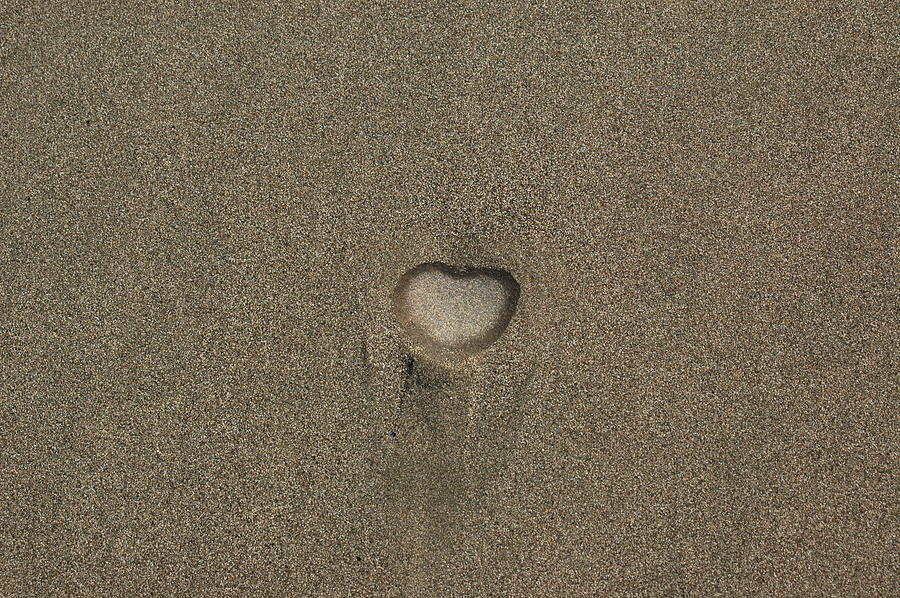 Love on the Beach Photograph by Wanda Jesfield