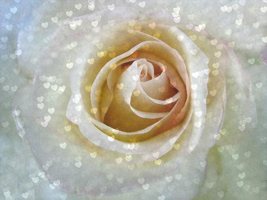 Rose Photograph - Love Spills Over by Shirley Sirois