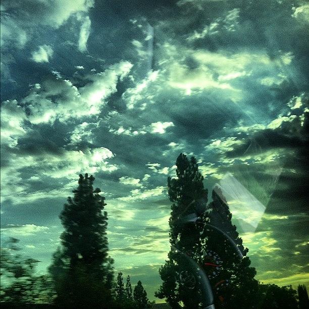 Love The View Outside My Tinted Windows Photograph by Ashley Sanchez