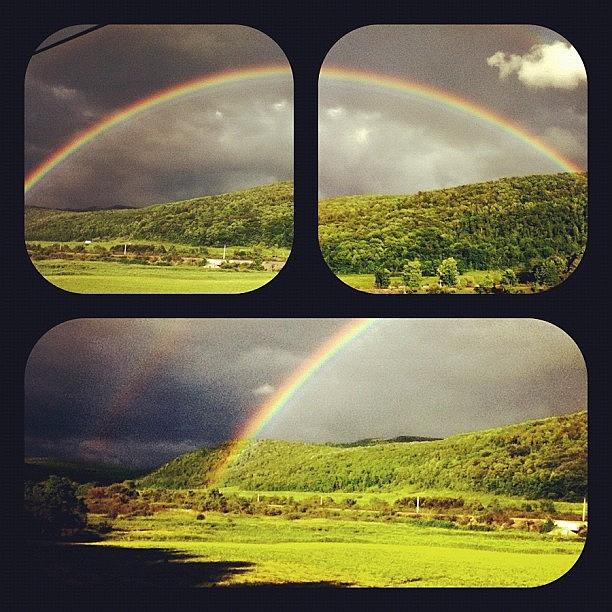 Rainbow Photograph - Love These As A Collage by Alexis Provenzano