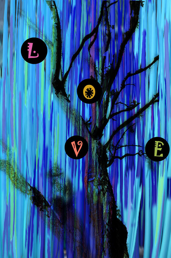 Tree Photograph - Love Tree in Blue by Renata Ferenc