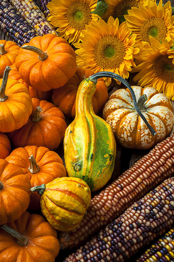 Fruit Photograph - Lovely autumn by Garry Gay