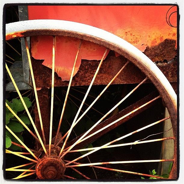 Vintage Photograph - Lovely Rust by IKON Pennie