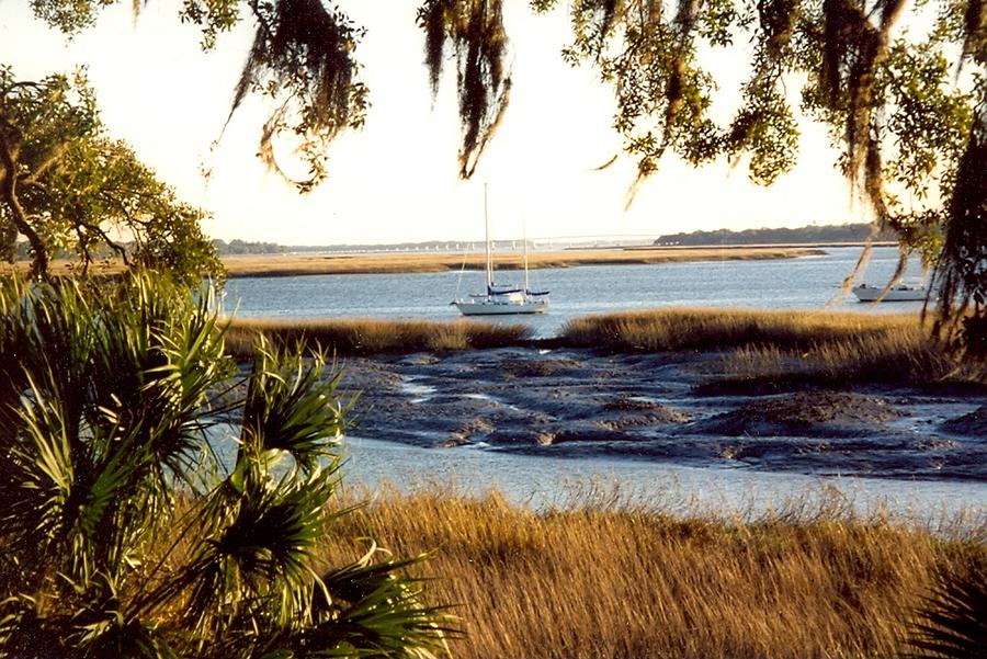 Low Country Photograph - Low Country Life by Charles Hester