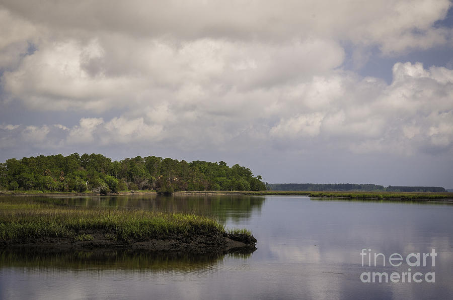 Low Country Marsh Lands Photograph by David Waldrop