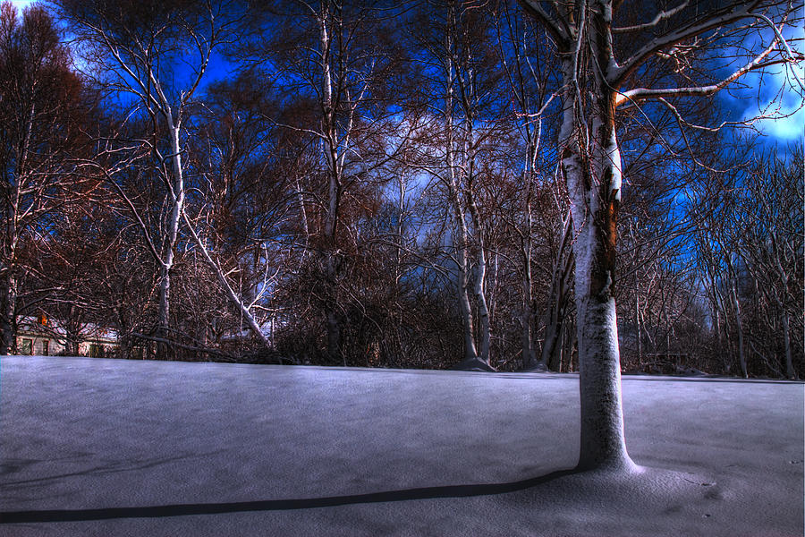 Low Key Winter Scene Photograph by Richard Gregurich