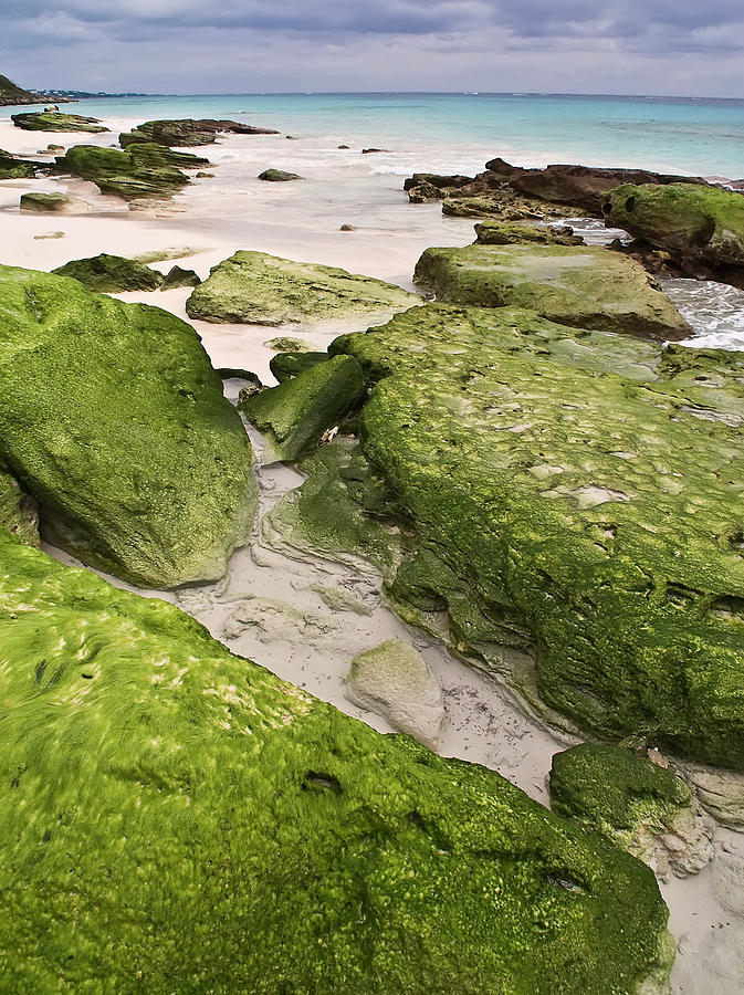 Low Tide in Bermuda Photograph by Geraldine Alexander
