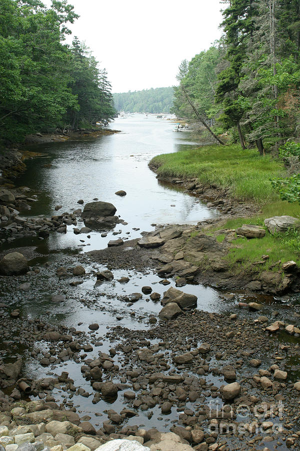 Landscape Photograph - Low Tide In Maine Part Of A Series by Ted Kinsman