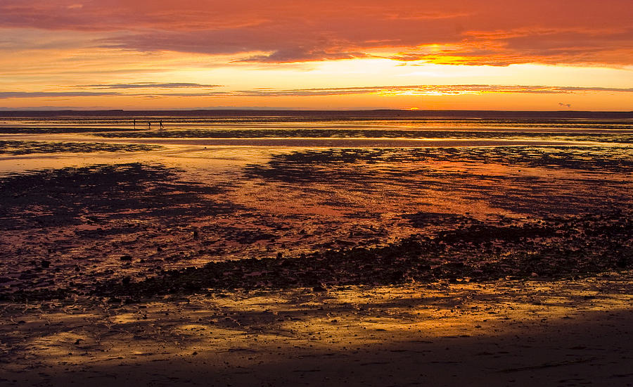 Sunset Photograph - Low Tide by Michael Friedman